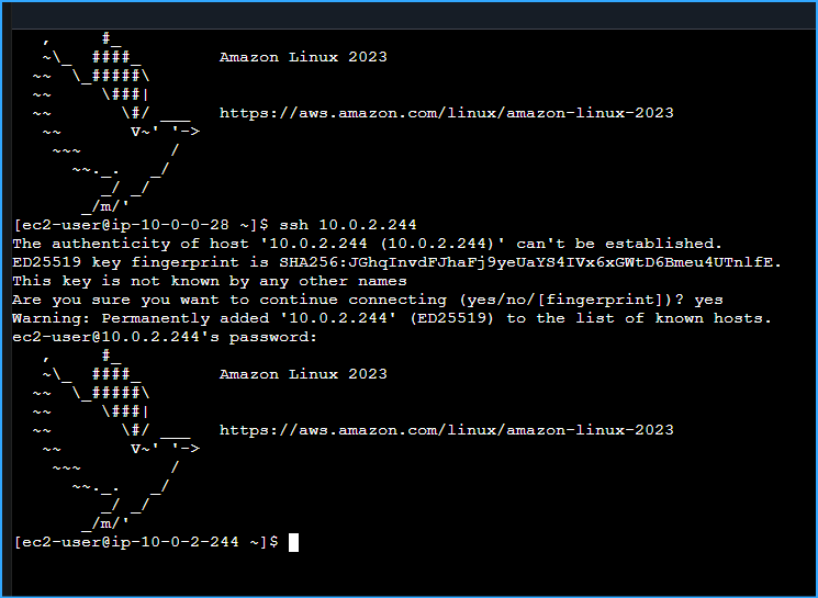 Connection To Private Instance From Bastion Server In Public Subnet Established