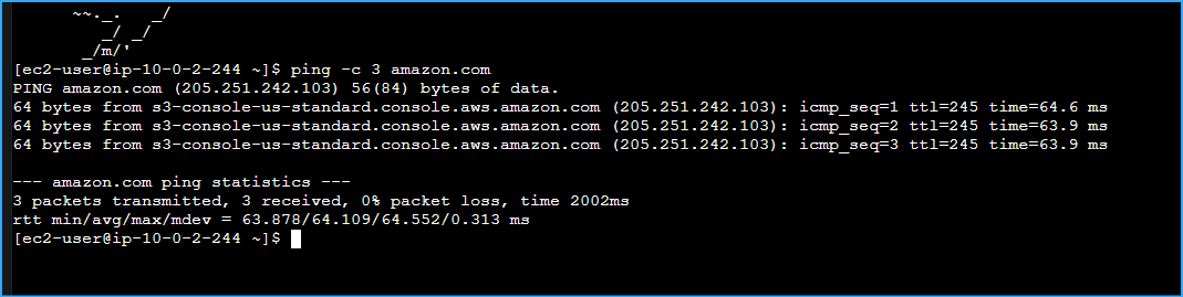 Ran Ping CMD Output Indicates Private Instance Communicated Thorugh Internet Via NAT GW Only Way