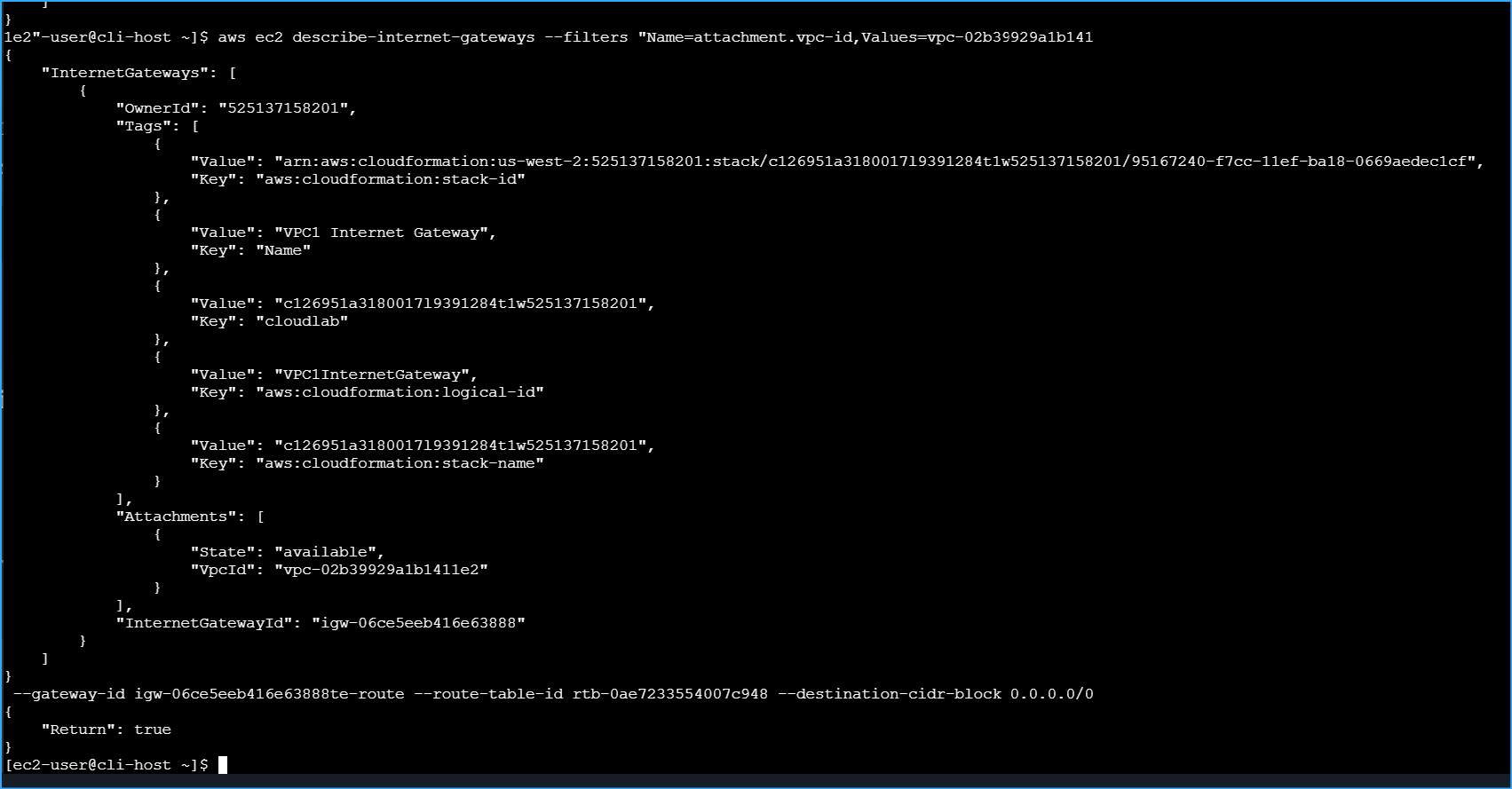 Adding route to internet gateway