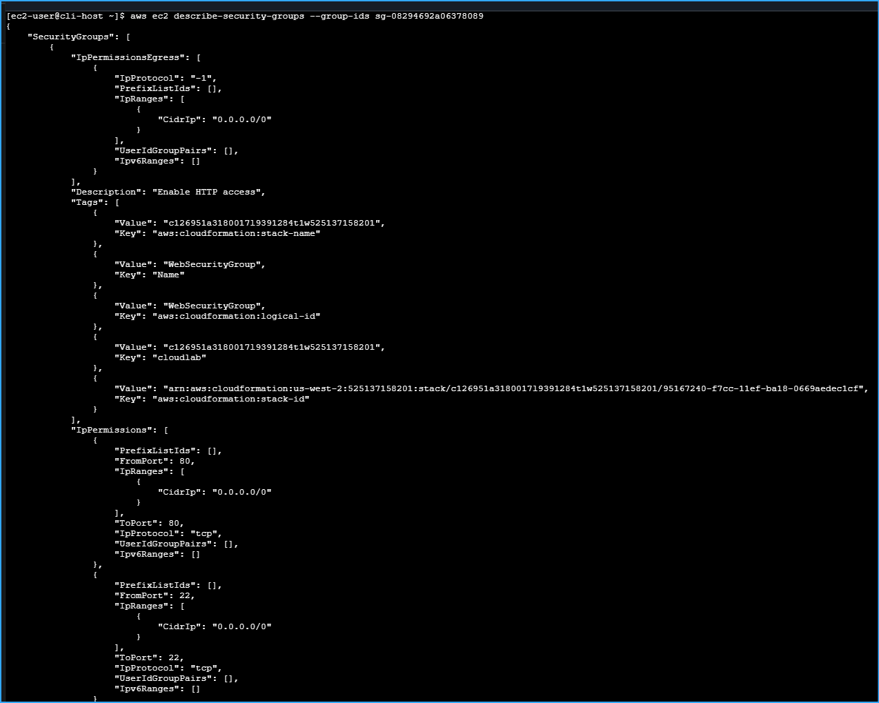 Output from describe security group 1