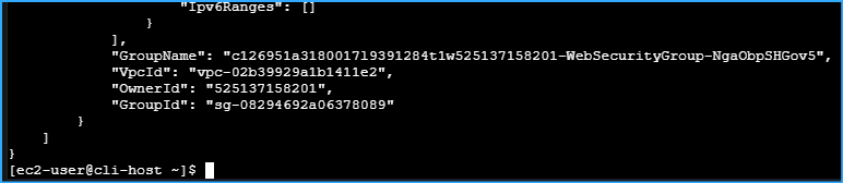 Output from describe security group 2
