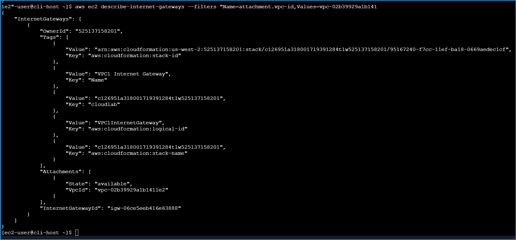 Internet gateway details