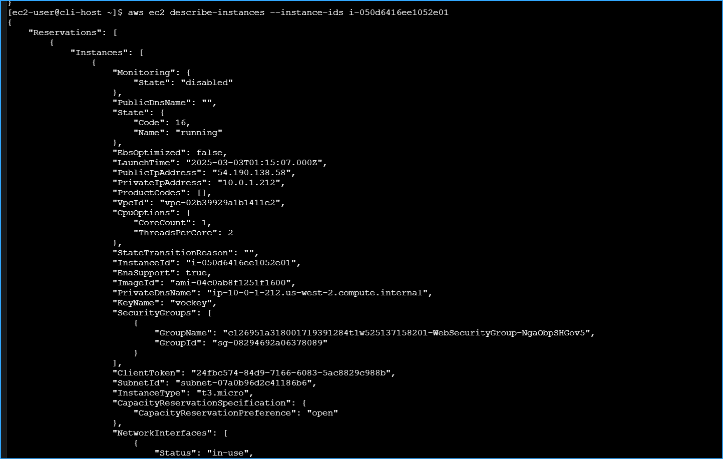 Instance details output