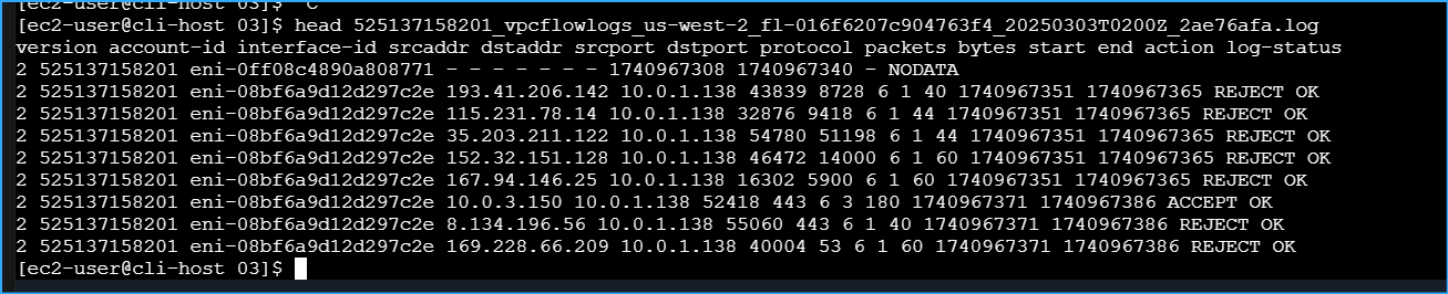Viewed log file header