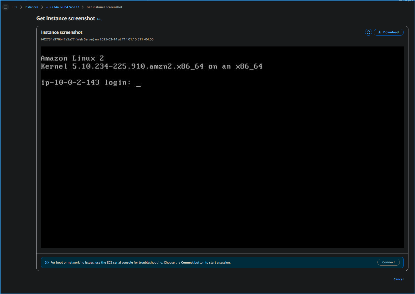 Get instance screenshot