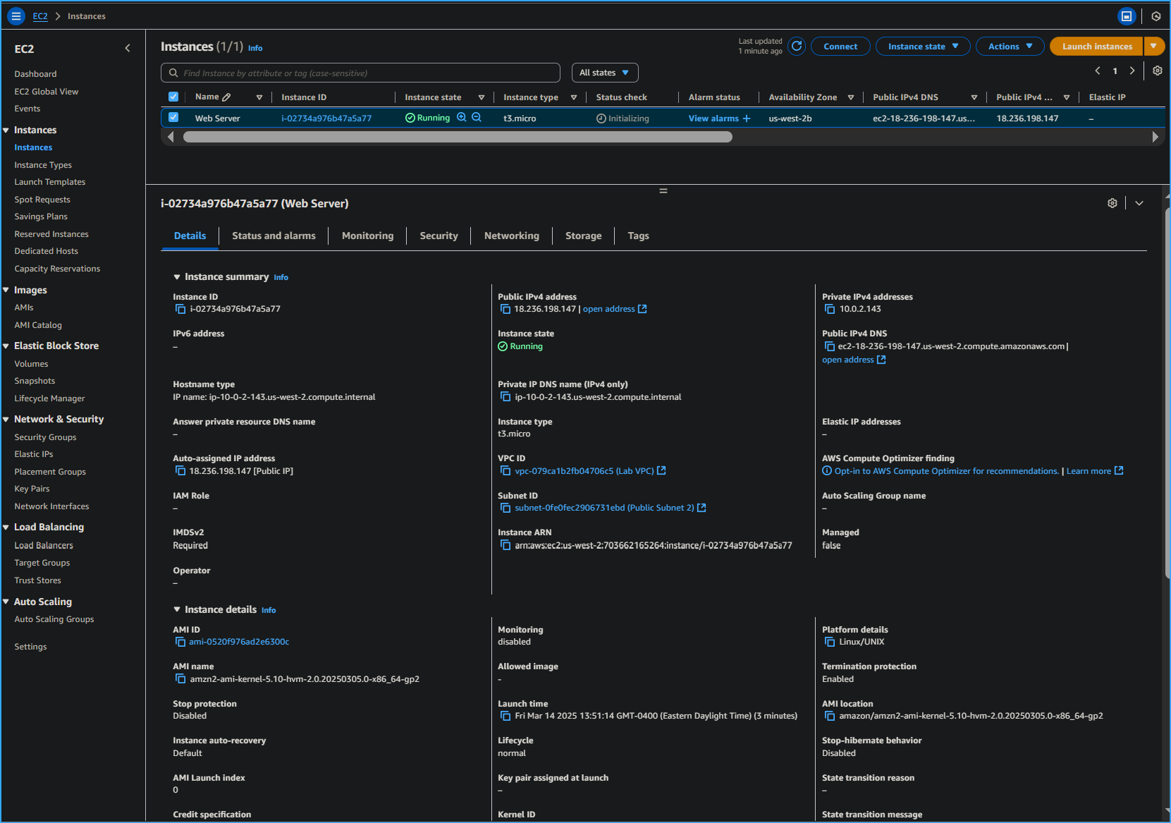 Web server instance details