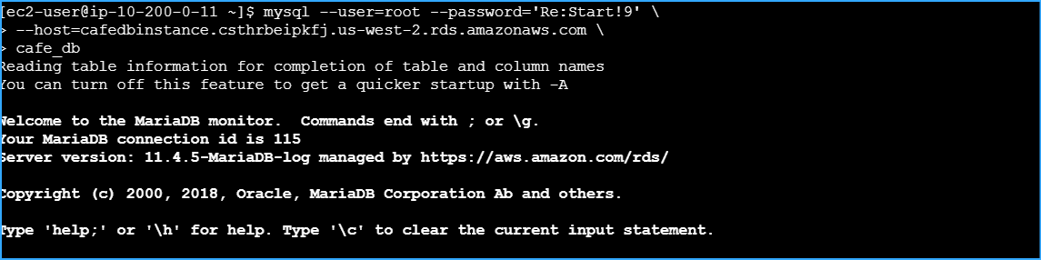 Successfully Connected To MariaDB Selected CafedbInstance
