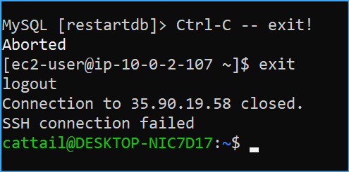 Exited SSH Connection to Database