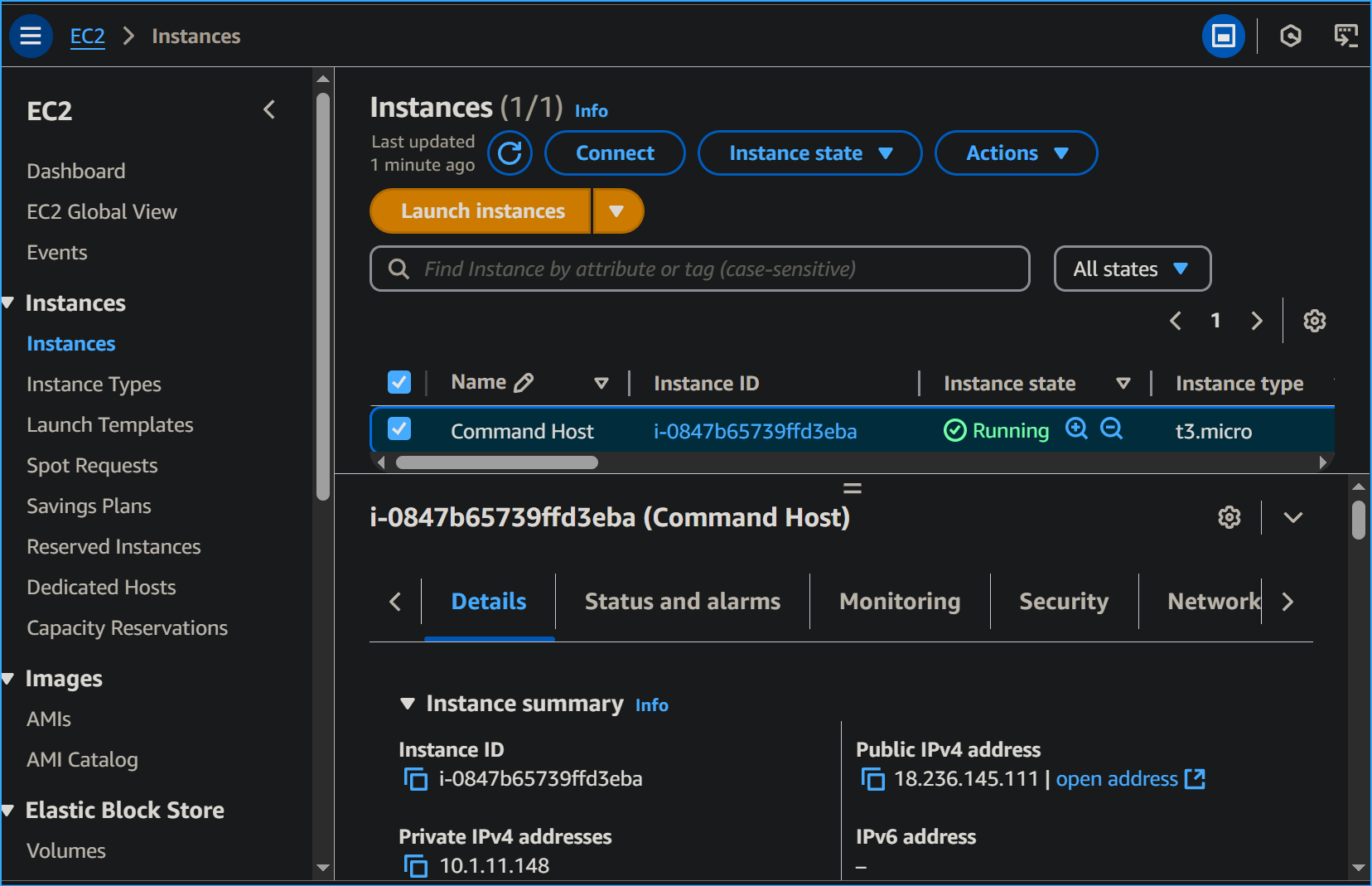 Will Connect To Command Host Instance