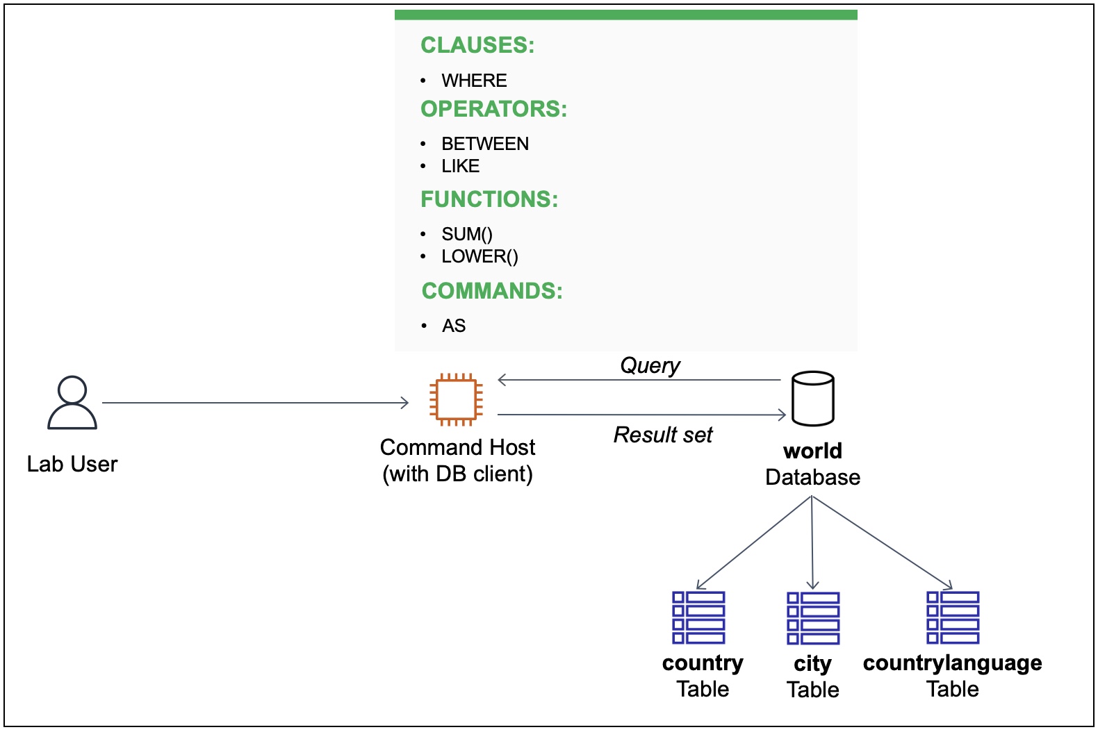 Query Operations for Tables in World Database