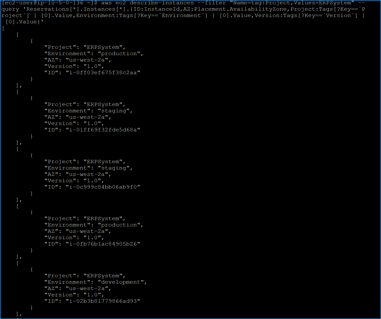 Added Environment And Version Tag Parameters Output One