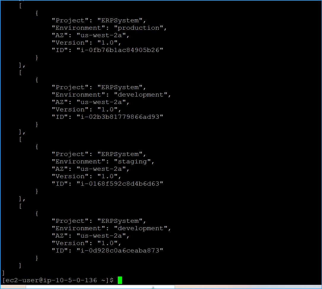 Added Environment And Version Tag Parameters Output Two