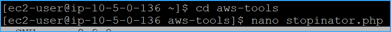 CD To AWS Tools Then Opened Nano For Stopinator Script