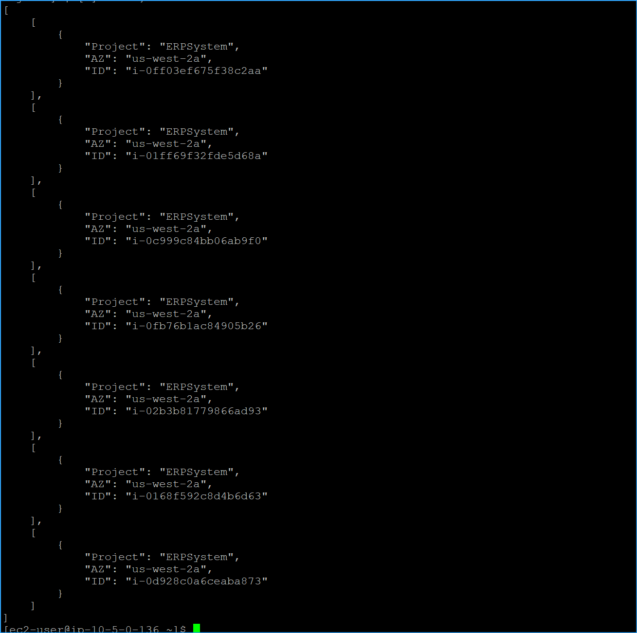 Describe Instance ID AZ And Project Tag Output