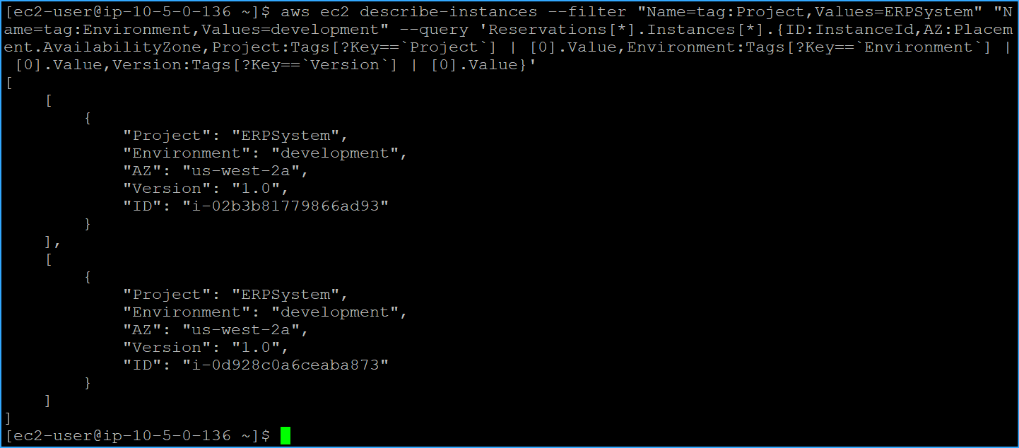 Filtered To Project Named ERPSystems And Environment Named Development