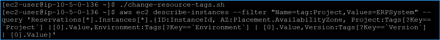 Ran Change Resource Tags Script Then Next CMD To Verify Correct Output