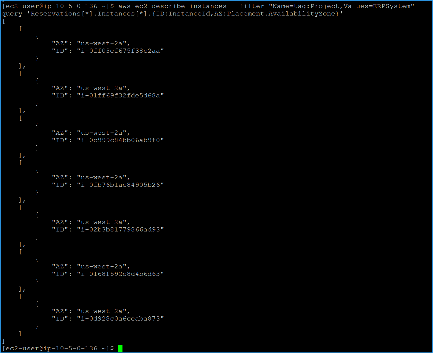 Ran Describe Instance ID And AZ CMD