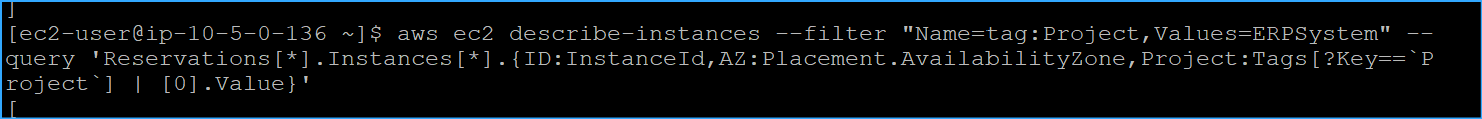 Ran Describe Instance ID AZ And Project Tag CMD