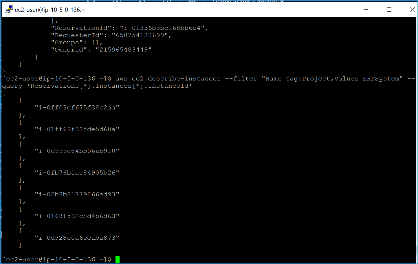 Ran Describe Instance ID With Query Parameter CMD