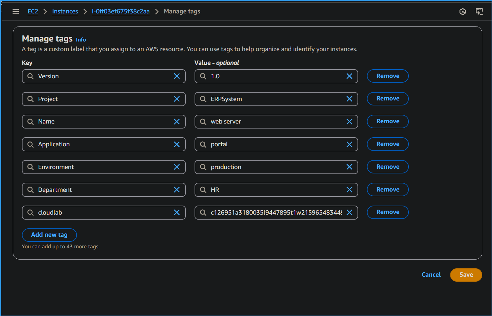 Removing Environment Tag