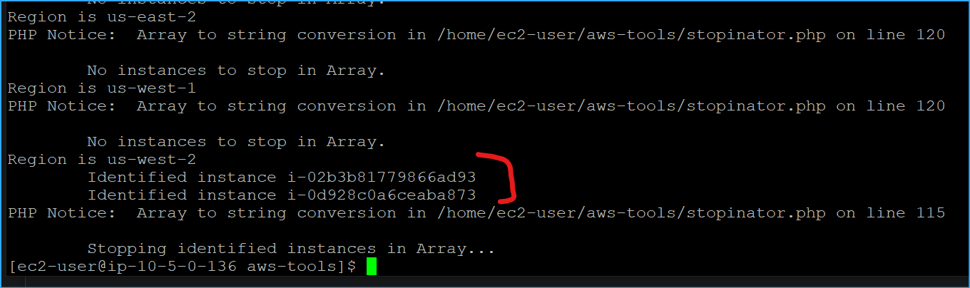 Two Instances Were Stopped By Stopinator