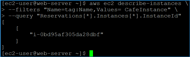 Determined instance ID of cafe instance