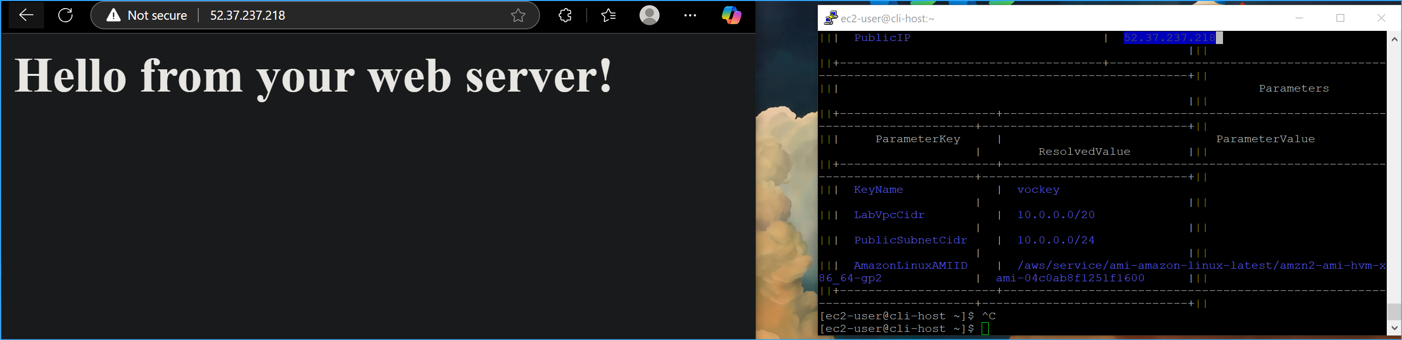 Confirmed web server is running