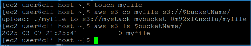 Created file, copied to bucket, verified upload