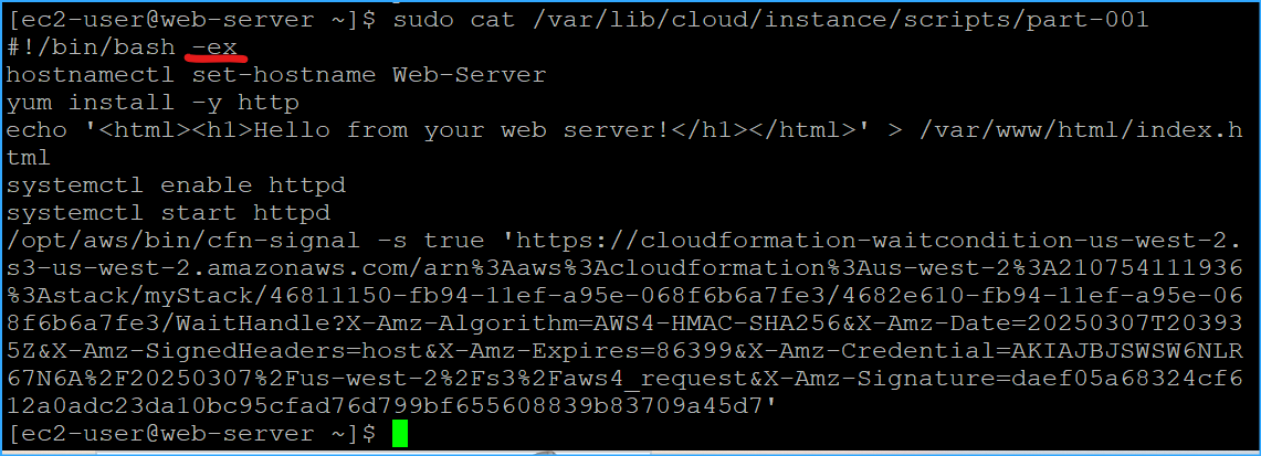 Examined beginning of script
