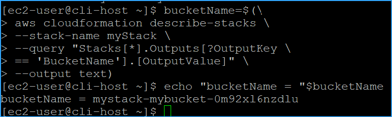 Queried bucket name, assigned to variable, then echoed result