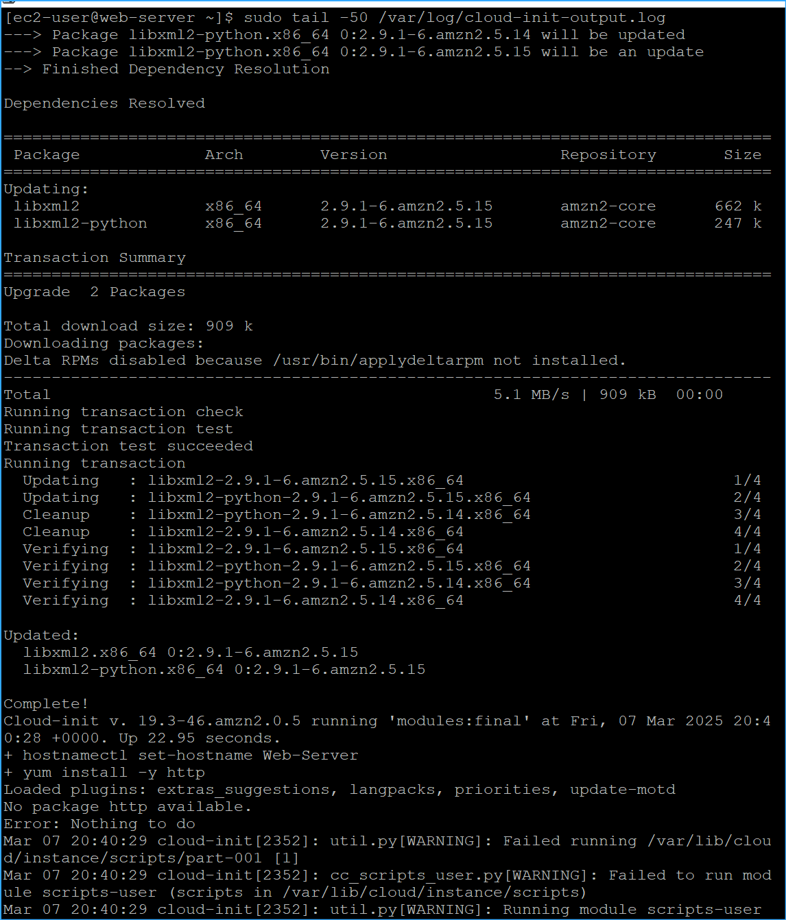 SSH to web server then ran command to view output logs