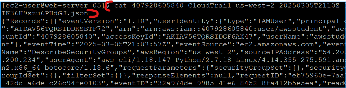 Cat to reveal contents of one of the files output is hard to read