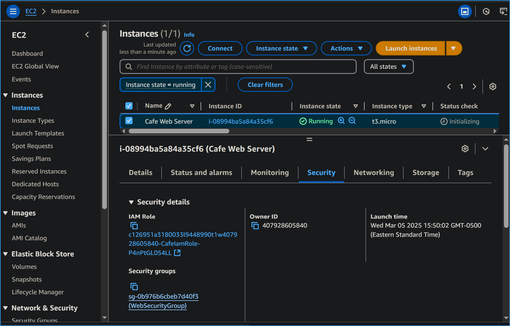 Choosing cafe web server security group