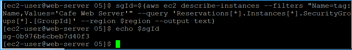Find security group ID used by web server command
