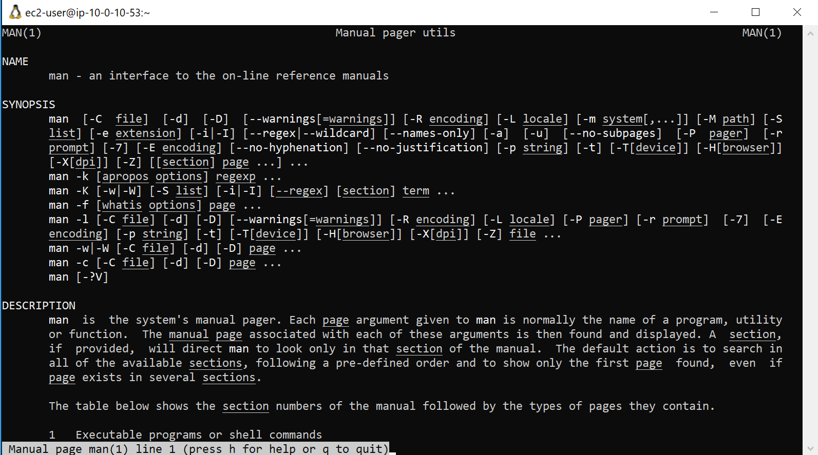 Linux manual page screenshot