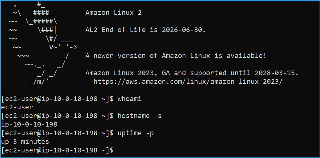 Began Running These Commands