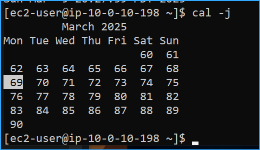 Date in Julian Format