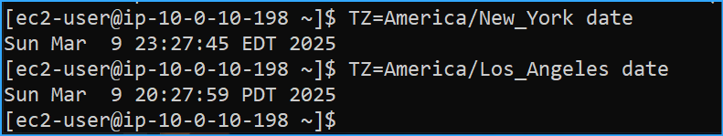 Ran Commands to Discover Times for Alternate Timezones
