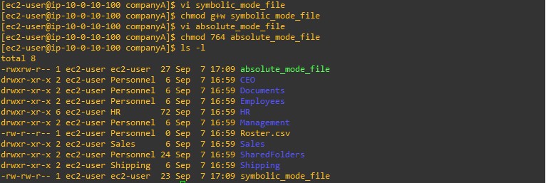 Sudo chmod for File Permissions