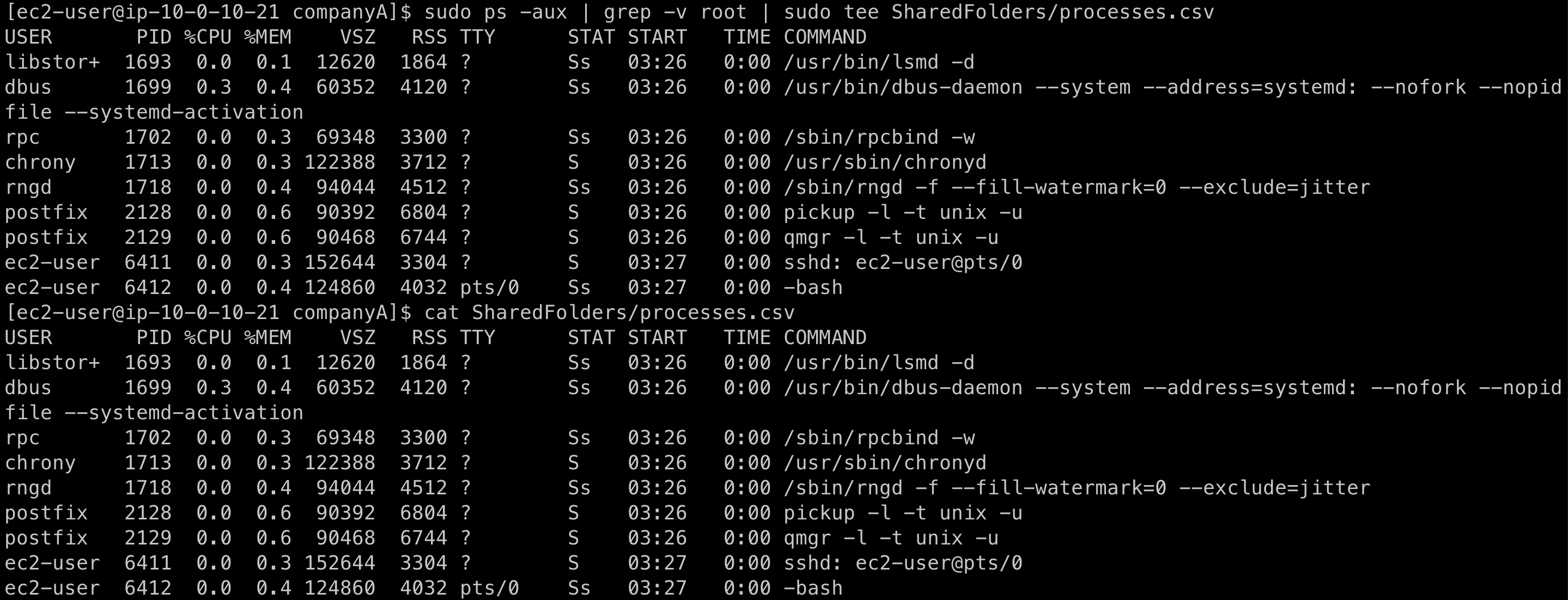 Output of current processes running on machine