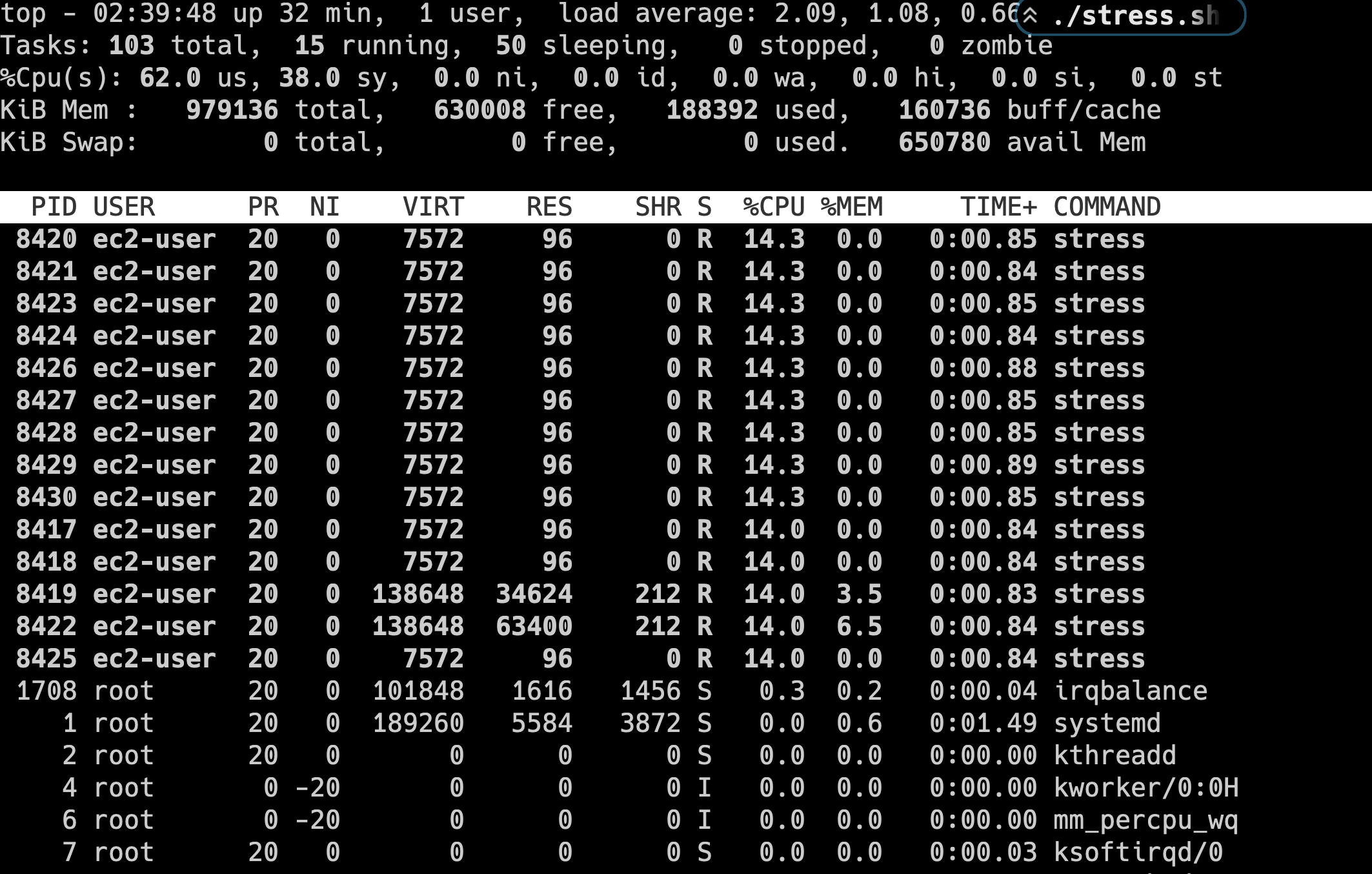 High CPU usage after running script