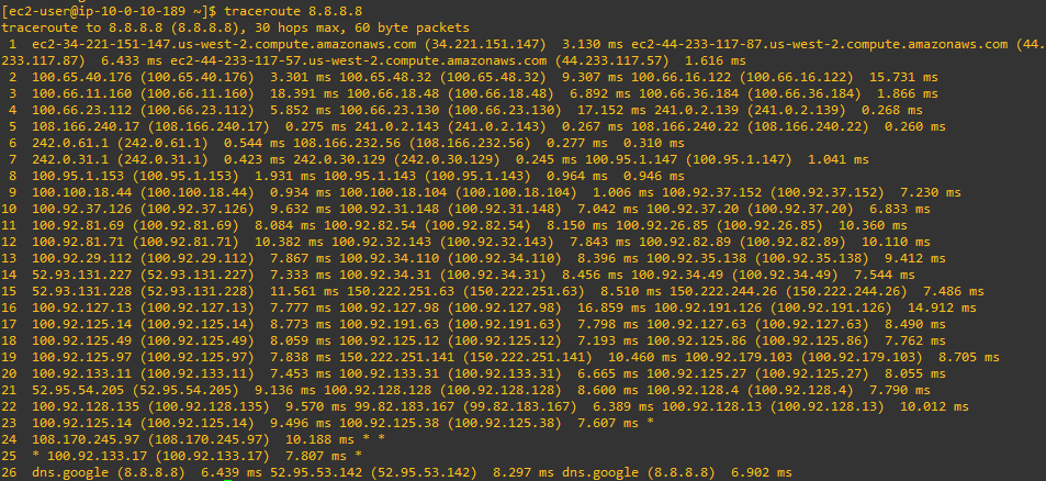 Traceroute Command Shows Path Taken To Web Server And Latency Taken To It