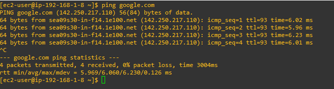 Using Ping to Test Internet Connectivity It Is Successful
