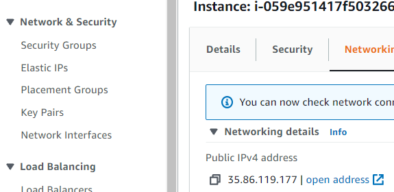 Elastic IPs Under Network and Security