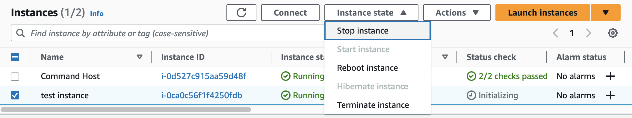 Instance State Button