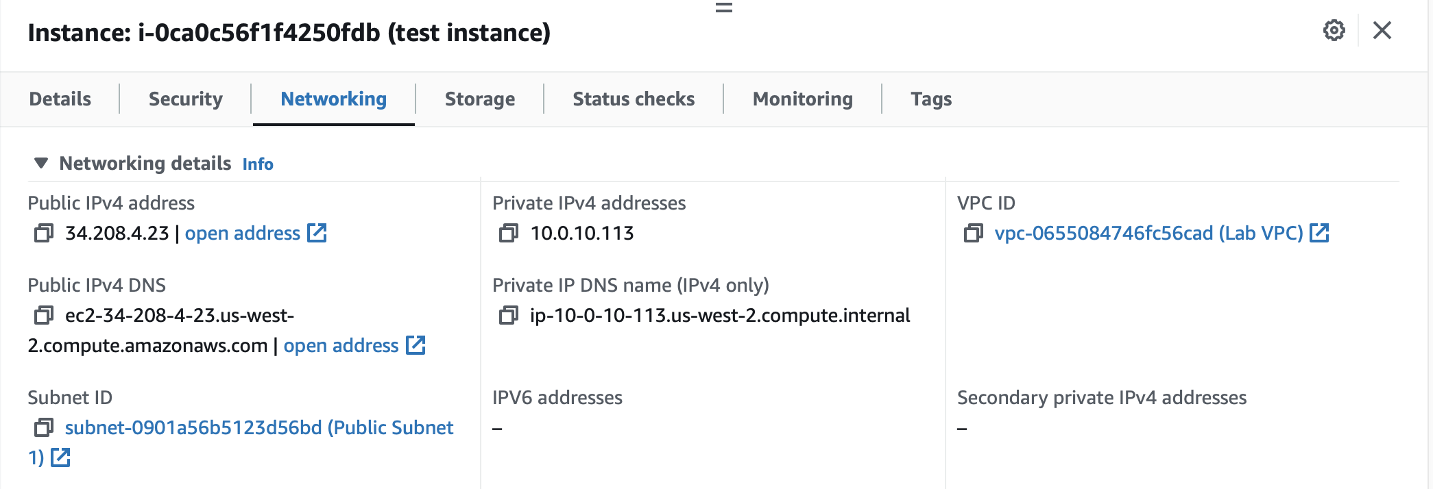 Networking Tab for Test Instance