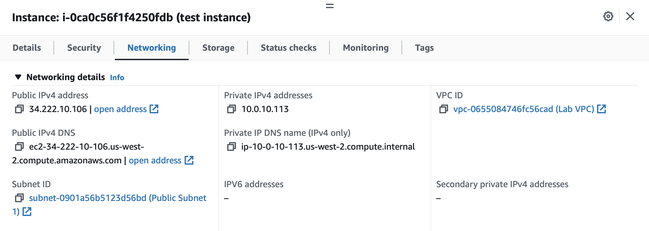 Starting Instance Populates Networking Tab