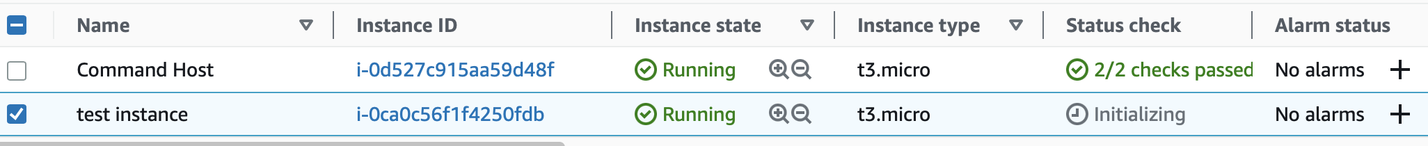 Test Instance Initializing Soon to be Running