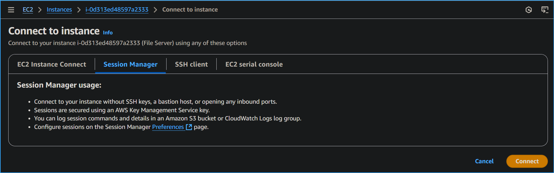 Connecting to File Server Instance via Session Manager