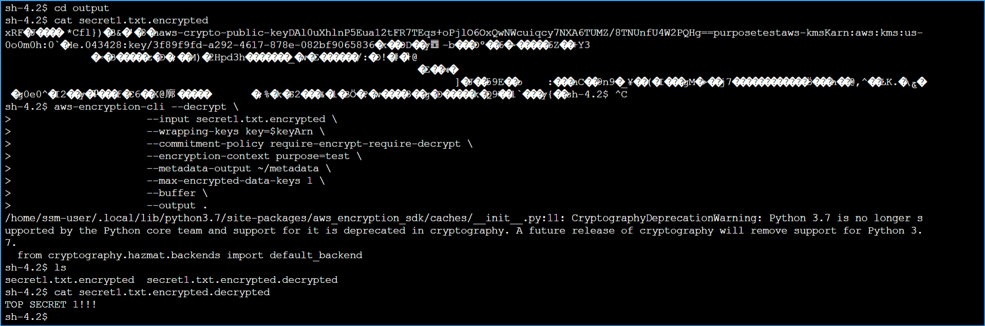 Encrypted and Decrypted Files